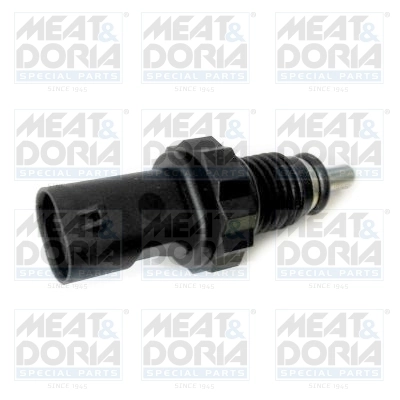 Sensor, fuel temperature